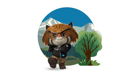 Meet The Trailhead Characters Astro Codey And Friends Salesforce Blog