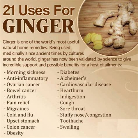 21 Uses For Ginger Ginger Uses How To Stay Healthy Natural Health