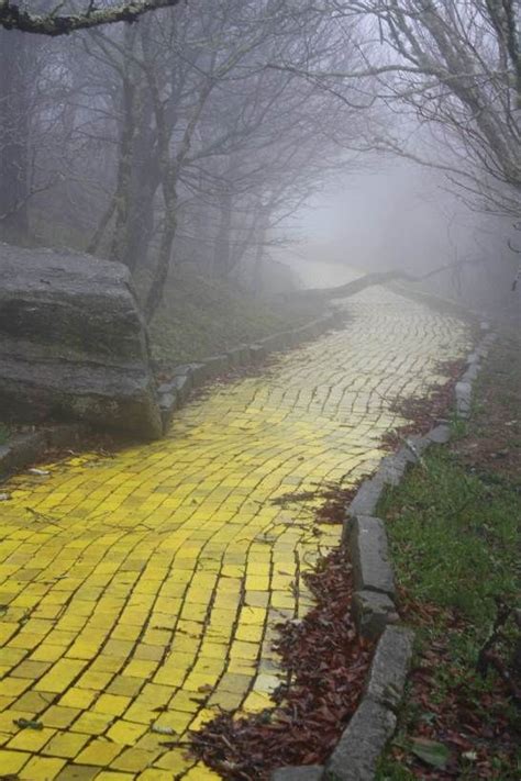 Yellow Brick Road From Abandoned Theme Park The Land Of Oz Abandoned
