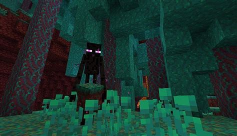 5 Things Players Didnt Know About The Enderman In Minecraft