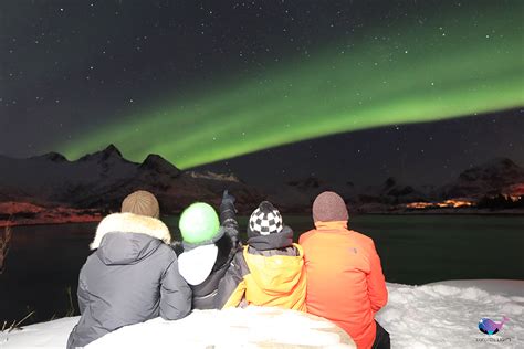 Lofotens Beautiful Northern Lights Lofoten Lights