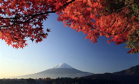Hd Wallpaper Autumn Mount Fuji Japan Hd Wallpaper Mount Fuji Japan