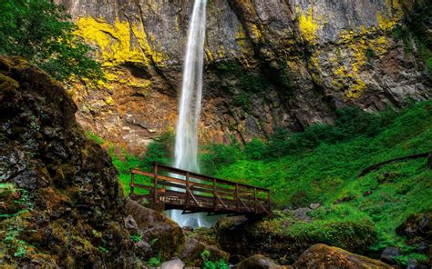 Elowah Falls Waterfall Bridge Rocks Moss Oregon Usa 1242x2688