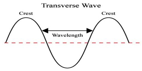Characteristics Of Transverse Waves Qs Study