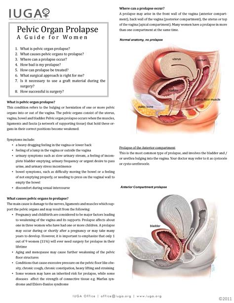 Prolapse Uterino Prolapso Anato Patologia Studocu