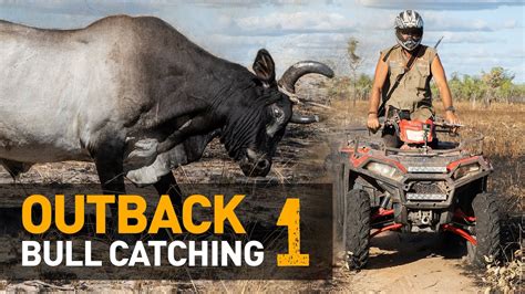 Best Action Ever — Catching Wild Scrub Bulls In Outback Australia