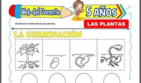 Las Plantas Para Ni Os De A Os Web Del Docente