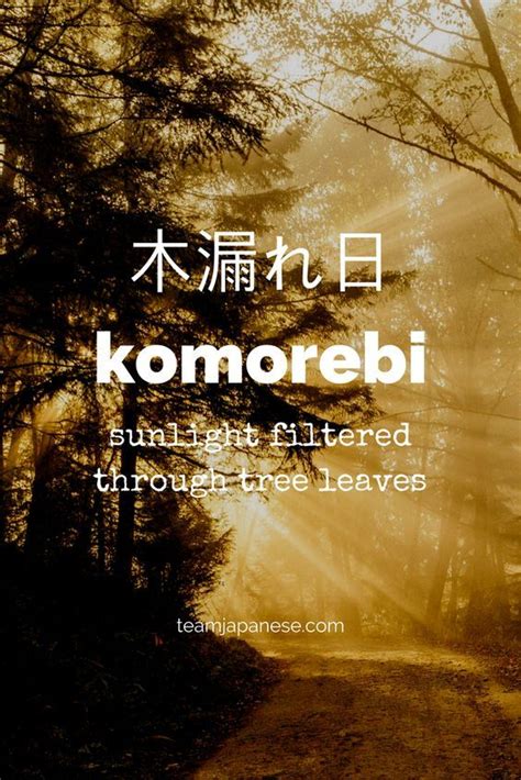 12 Beautiful And Untranslatable Japanese Words Learn Japanese Words