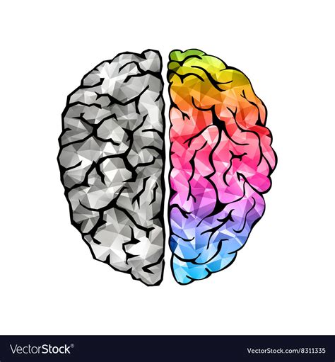 Creative Concept Human Brain Royalty Free Vector Image
