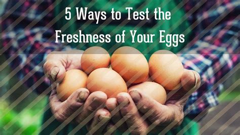 5 Ways To Test The Freshness Of Your Eggs Townline Hatchery