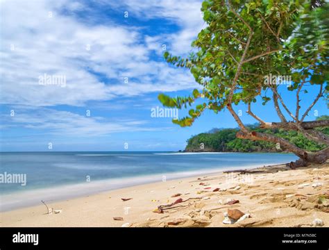 Republic Of Trinidad And Tobago Tobago Island Mt Irvine Bay Tropical Beach Of Caribbean
