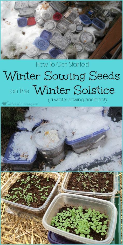 8 Gardening Winter Sowing Ideas Sowing Winter Garden Winter