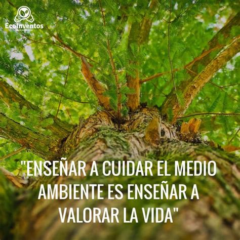 Frases De Amor A La Naturaleza Cortas Cuidar El Medio Ambiente