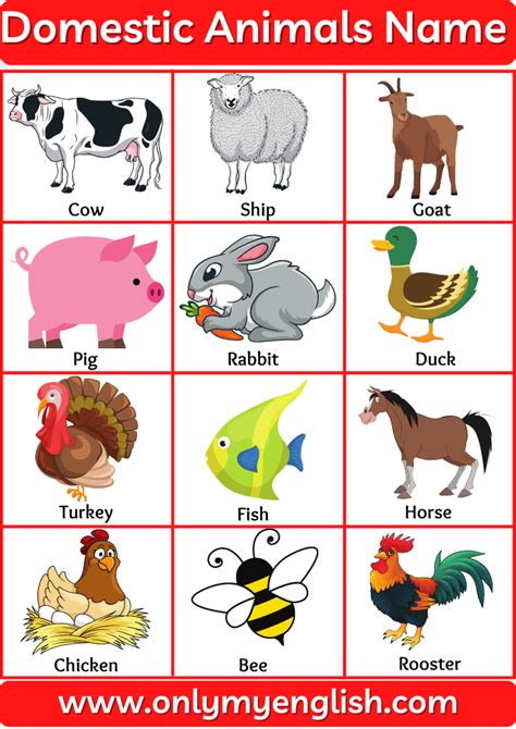 Domestic Animals Or Farm Animals Name List In English Onlymyenglish