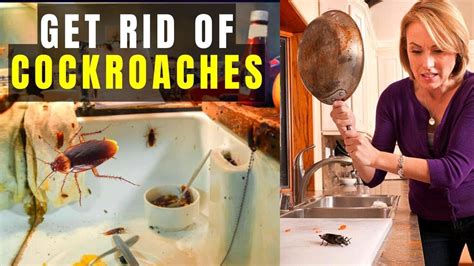 What Is The Best Way To Get Rid Of Cockroaches Fast How To Get Rid Cockroaches At Home Fast