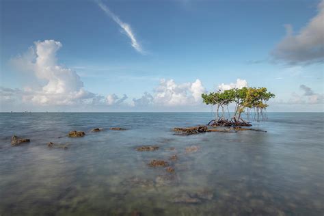 Florida Keys 7 Photograph By Dennis Goodman Photography Fine Art America