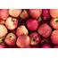Enzymes In Fresh Apples With Skins  Healthfully