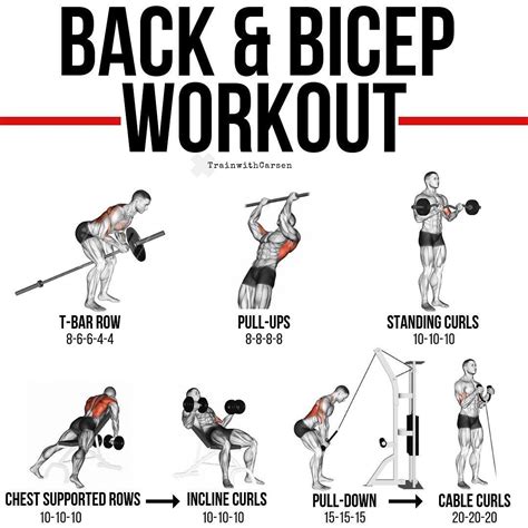 Back And Biceps The Best Workout Combination Back