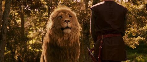 The Chronicles Of Narnia The Lion The Witch And The Wardrobe The