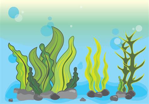 Seaweed Illustration Scene Underwater Vector Art At Vecteezy My Xxx