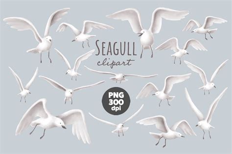 Animated Clipart Of Sea Birds