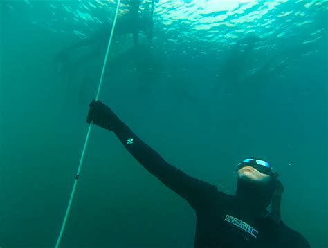 Freediving With Pfi Performance Freediving Intl Suburban Adventuress