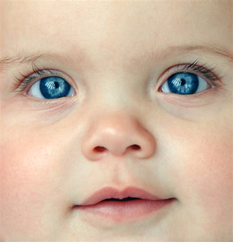 25600 Bebes Con Ojos Azules Fotografías De Stock Fotos E Imágenes
