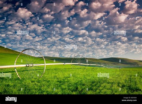 Irrigation Wheel In Pasture With Cloudy Sky Wallowa County Oregon Stock