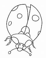 Coloring Bug Lady Printable sketch template