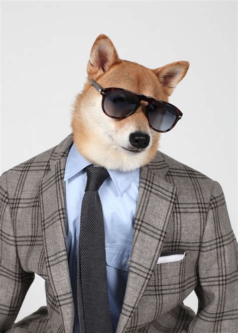 Bodhi The Shiba Inu Menswear Dog Mirror Online