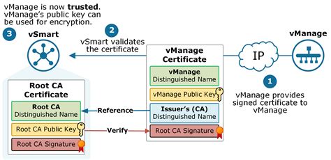 Cisco Sd Wan Certificates Explained