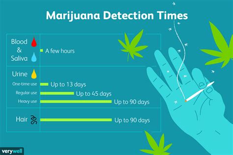 People who think calming thoughts during the test can keep. How to get THC out of your system. THC detox and Weed ...