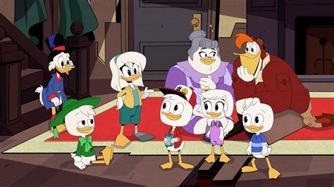 ducktales theme song but with real ducks halaneta