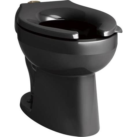 2.6 out of 5 stars. KOHLER Wellcomme Ultra Black Elongated Standard Height ...