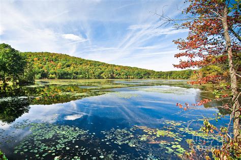 Northern New Jersey Lake By Ryan Kelly