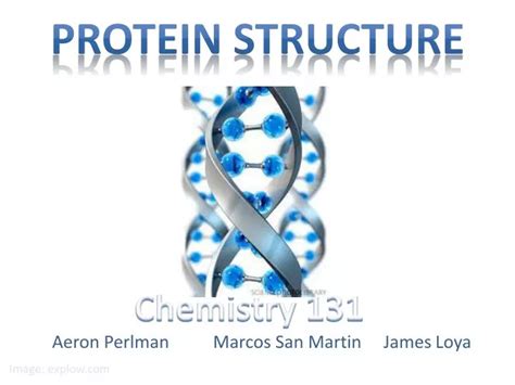 Ppt Protein Structure And Function Powerpoint Presentation Free