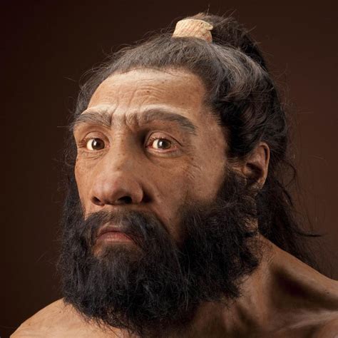 Homo Neanderthalensis The Smithsonian Institutions Human Origins Program