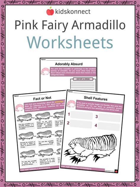 Pink Fairy Armadillo Facts Worksheets Origins And Habitat For Kids