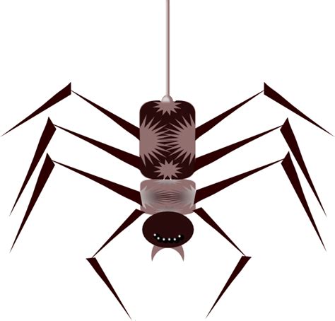 Spider Bug Insect Clip Art At Vector Clip Art Online