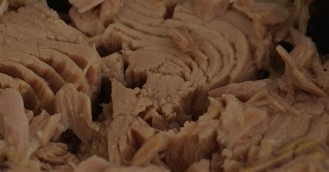 Can cats eat canned fish? How many calories should my cat ...