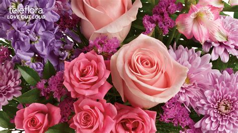 Include a handwritten gift note with your personal message. Bring the Outdoors In with Virtual Zoom Backgrounds from ...