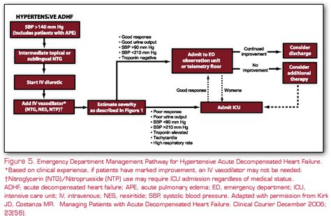 Figure 3 From Acute Decompensated Heart Failure Novel Approaches To