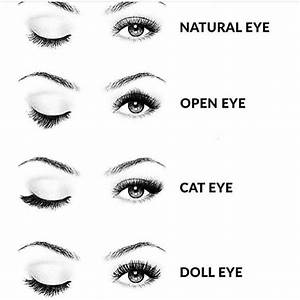 Important Eyes Are Completely Unique In Terms Of Their Size Shape