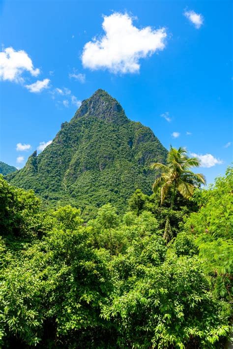 Gros And Petit Pitons Near Village Soufriere On Caribbean Island St