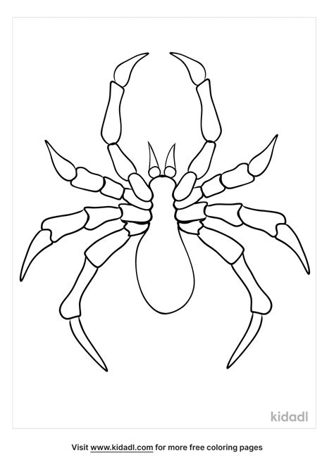 31 Black Widow Spider Coloring Pages Toricornelius