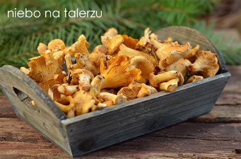 Łatwo je rozpoznać, a do tego są smaczne i nadają wielu potrawom wyjątkowego smaku i aromatu. Jak się czyści kurki? - niebo na talerzu