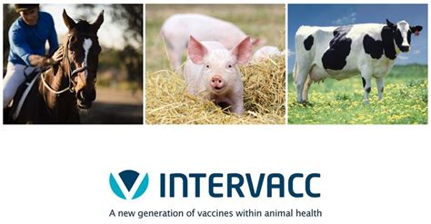 A new generation of vaccines within animal health - Intervacc