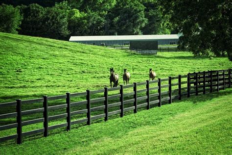 Black Crossbuck Vinyl Fence For Ranches Farm Horses Blackline Hhp