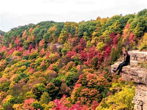 11 Best Places To See Fall Colours In Ontario Walkaboot Travel