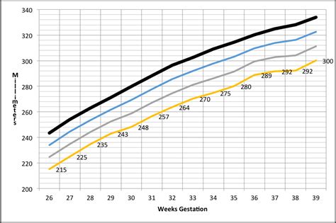 Fetal Growth Chart Head Circumference